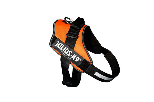 IDC Power Dog Harness Julius K9, UV ORANGE / Pettorina Julius k9 per cani - Pet Shop Luna