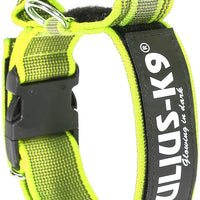 Julius K9 Nylon collar for dogs with handle and safety, Neon - Pet Shop Luna
