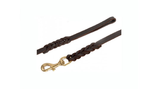 Dog training leash with woven heads made of natural leather / Guinzaglio da addestramento per cani con teste intrecciate in pelle naturale - Pet Shop Luna