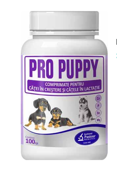 PRO PUPPY 100 TABLETS The product contains a complex of vitamins, minerals and amino acids . - Pet Shop Luna