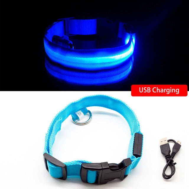 Collar for dogs USB Charging Led Anti-Lost/Avoid Car Accident / Collare per cani illuminato - Pet Shop Luna