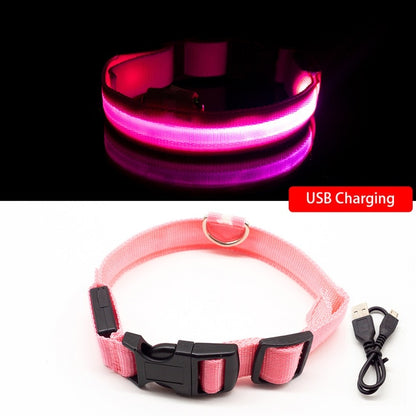 Collar for dogs USB Charging Led Anti-Lost/Avoid Car Accident / Collare per cani illuminato - Pet Shop Luna