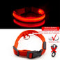 Collar for dogs USB Charging Led Anti-Lost/Avoid Car Accident / Collare per cani illuminato - Pet Shop Luna