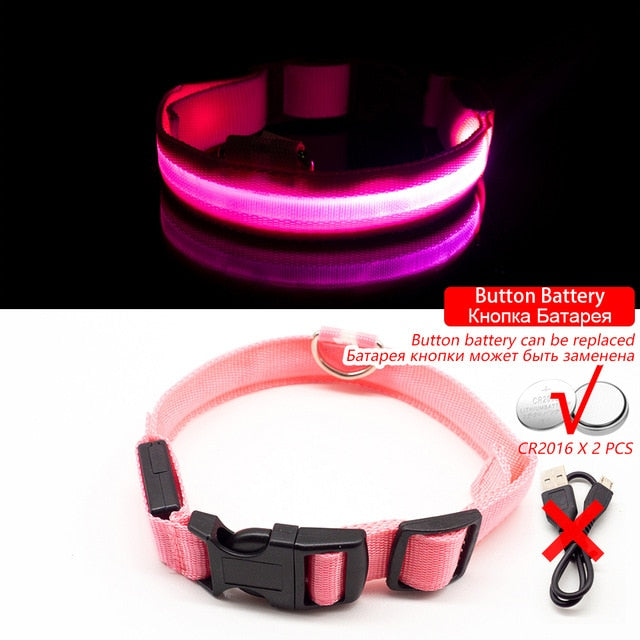 Collar for dogs USB Charging Led Anti-Lost/Avoid Car Accident / Collare per cani illuminato - Pet Shop Luna