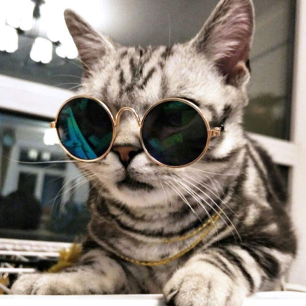 Ultra Cute and Funny Pet Sunglasses Classic Retro Circular Metal Prince Sunglasses for Cats or Small Dogs Fashion Costume - Pet Shop Luna