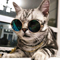 Ultra Cute and Funny Pet Sunglasses Classic Retro Circular Metal Prince Sunglasses for Cats or Small Dogs Fashion Costume - Pet Shop Luna
